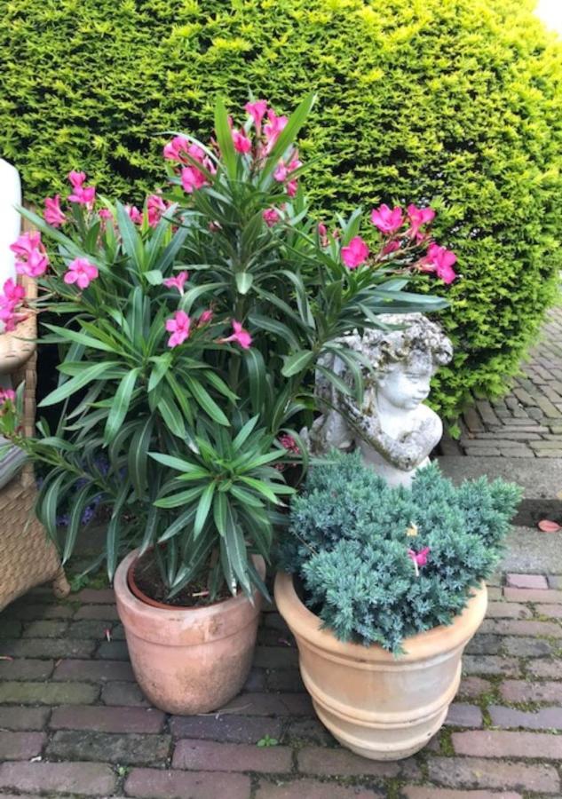 B&B Ereprijs Lahey Dış mekan fotoğraf